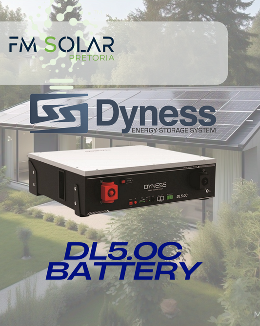 Dyness DL5 Lithium Battery